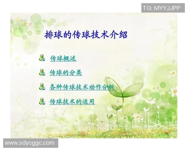 南京排球队状态分析与未来发展方向探讨 南京排球队状态分析与未来发展方向探讨