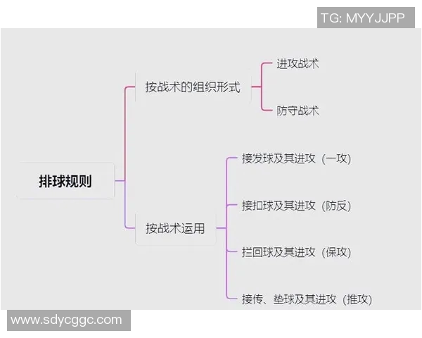 科学排球个人能力提升的系统训练方法与技巧解析