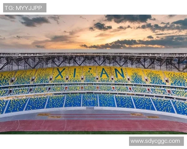 全运会武汉羽毛球队速度表现分析与点评展现竞技水平的全新高度