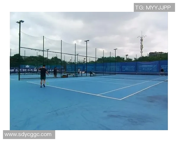 新手网球比赛经验分享与入门技巧全攻略 新手网球比赛经验分享与入门技巧全攻略