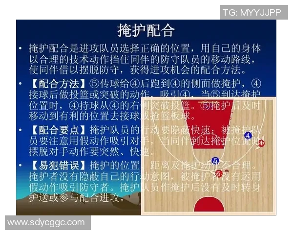 深入分析杭州篮球队的快速转换进攻战术与战术执行效果