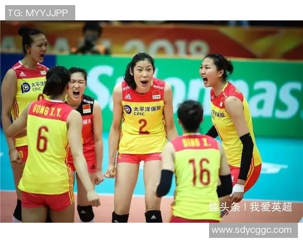英超排球焦点南京排球队技术分析与发展策略探讨 英超排球焦点南京排球队技术分析与发展策略探讨