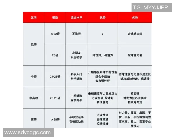 体育实时数据羽毛球新手必看全面入门指南助你快速提升个人能力与技巧 体育实时数据羽毛球新手必看全面入门指南助你快速提升个人能力与技巧