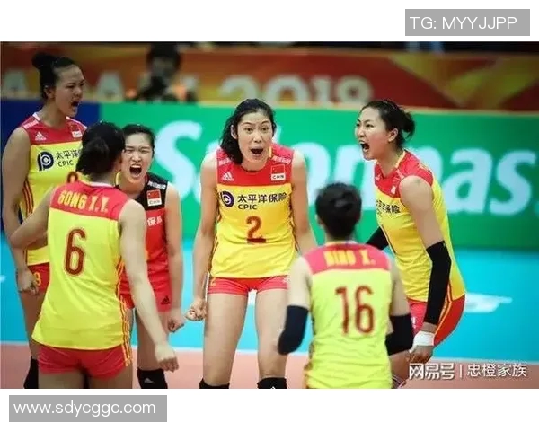 运动数据排球新手必看轻松掌握团队协作技巧与实战策略