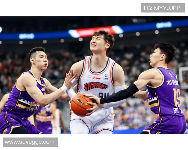 实时新闻南京篮球队的节奏分析与战术探讨如何提升球队整体表现